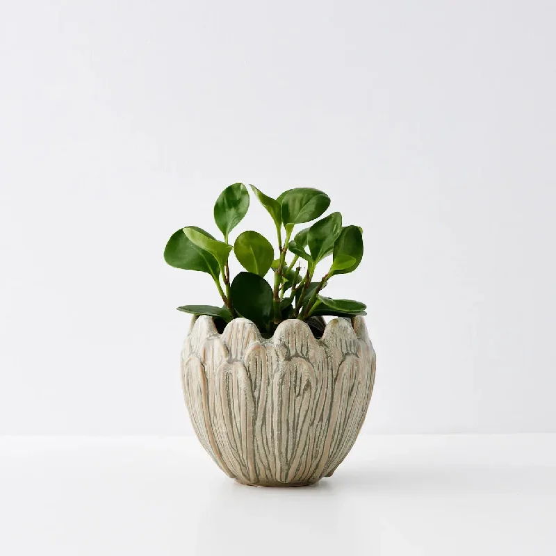 Arty Choke Ceramic Plant Pot