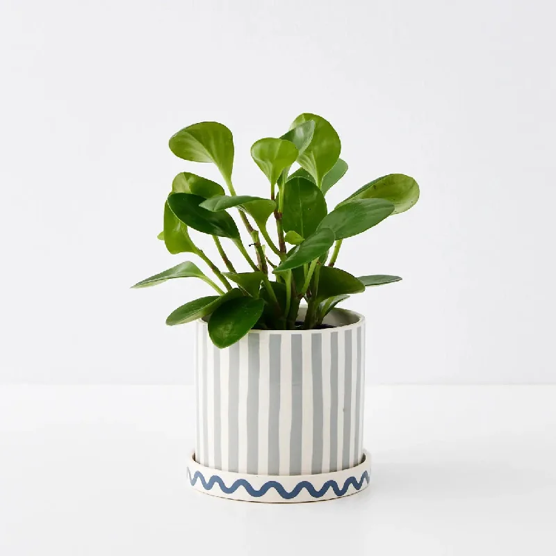 Cirque Ceramic Plant Pot Blue