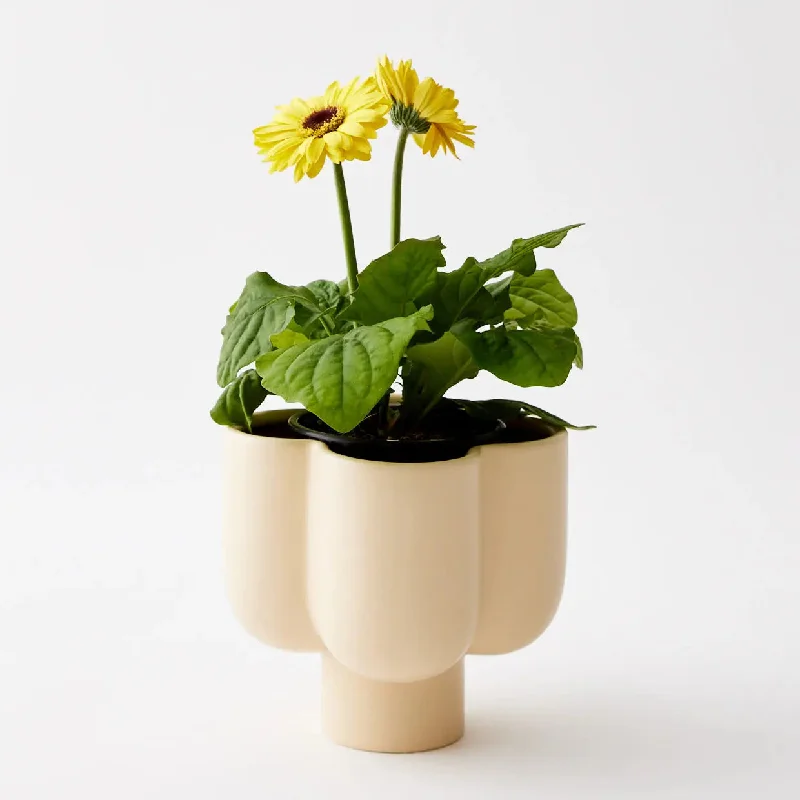 Clover Ceramic Plant Pot Beige