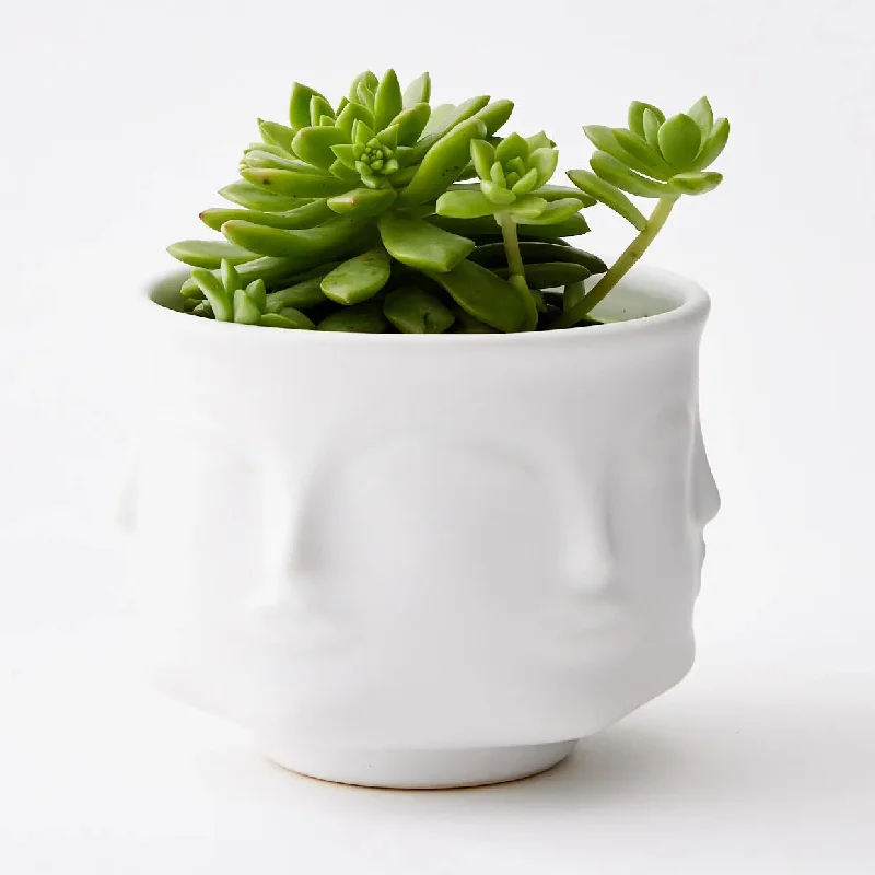 Gemelli Ceramic Plant Pot White