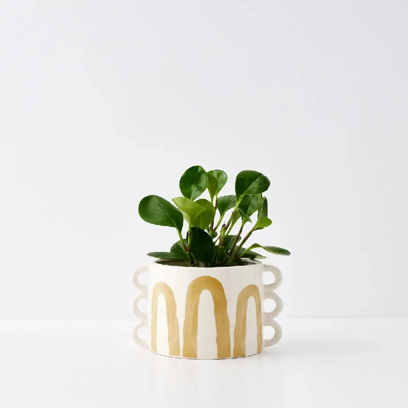 Golden Arches Ceramic Plant Pot