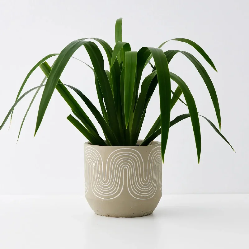 Infinity Cement Plant Pot Brown