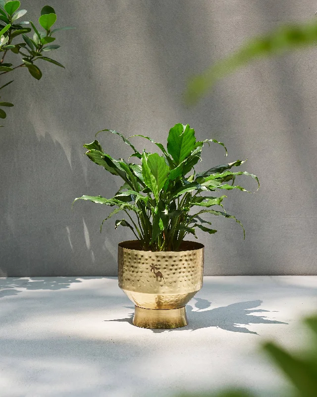 Marrakech Planter