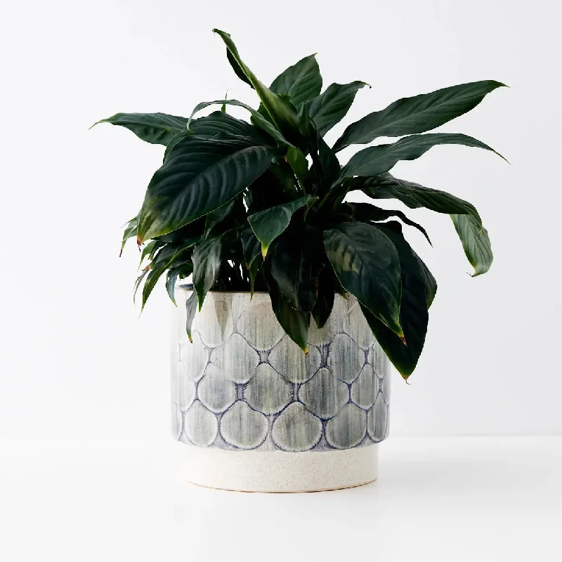 Plume Glazed Ceramic Plant Pot