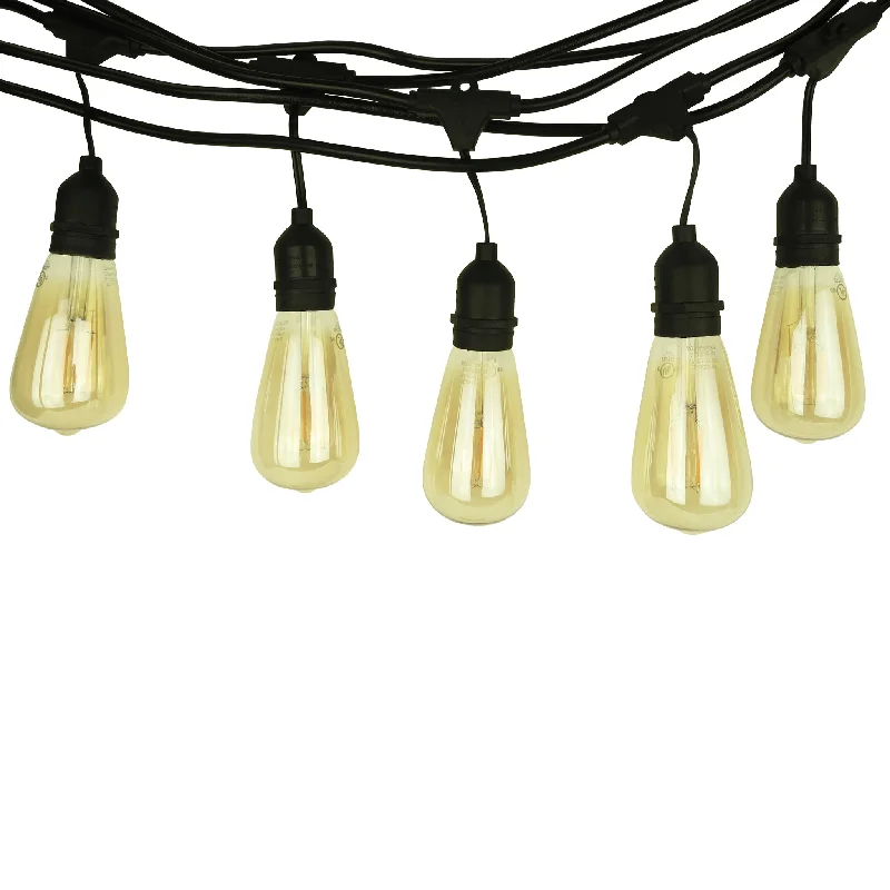 Festoon Light