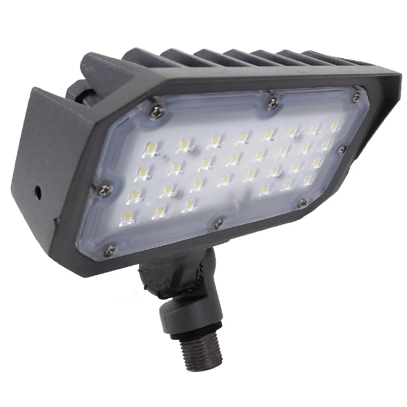 LED Flood Light