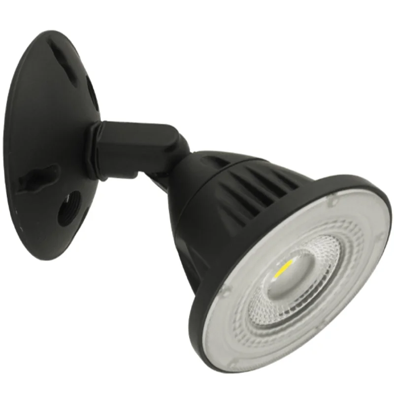 LED Landscape/Security Light