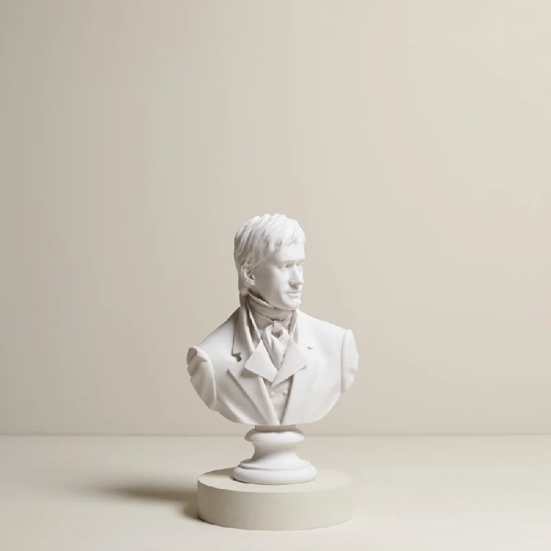 Mr Fitzwilliam Darcy Bust