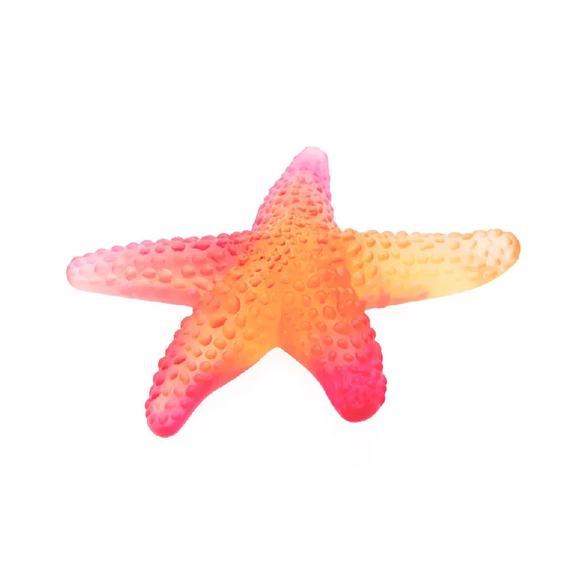 Starfish Mer de Corail